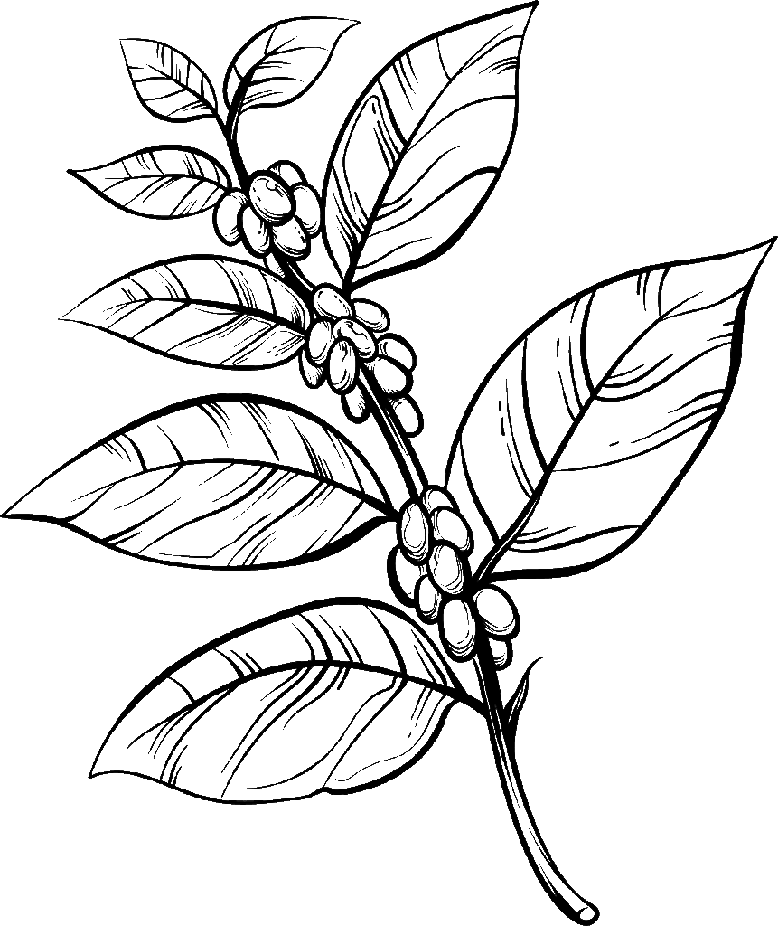 Icon hnz4rdh.png