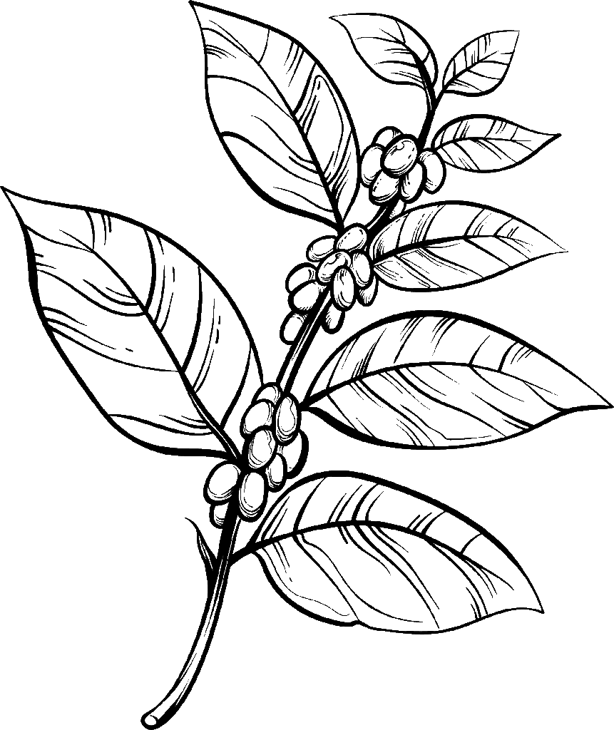Icon2 hnz4rdh e1624586803300.png